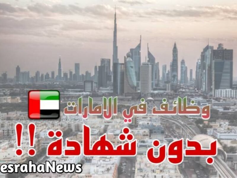 فرص العمل في الإمارات لعام 2024: طريق النجاح دون خبرة أو شهادة