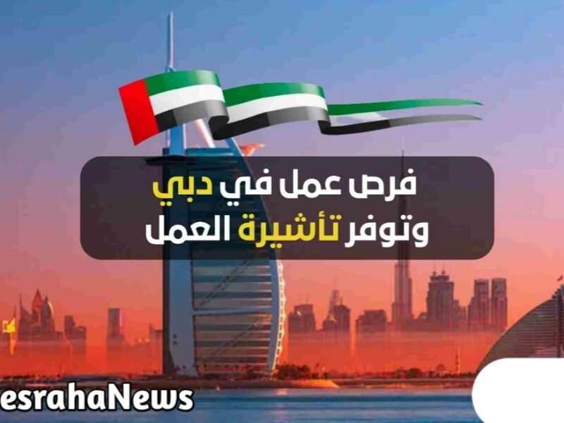 كيفية البحث عن عمل في الامارات بدون شهادة